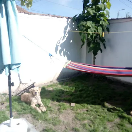 Casa Magda Timisoara