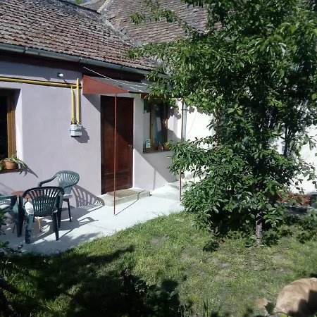 Apartment Casa Magda Timisoara